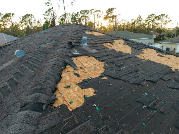 Best Roof Maintenance and Cleaning  in Scottsburg, IN
